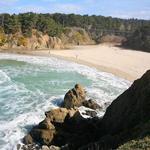 Jug Handle State Natural Reserve