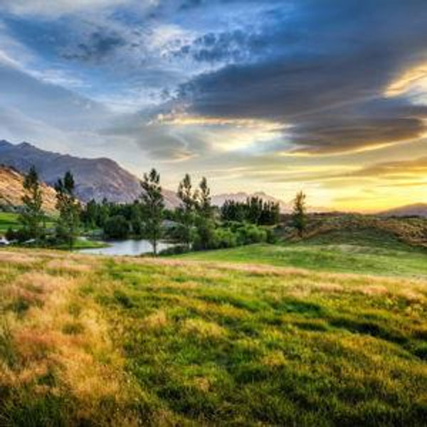 New Zealand Honeymoon!!