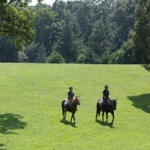 Horseback Riding