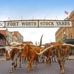 Fort Worth Stockyards Station