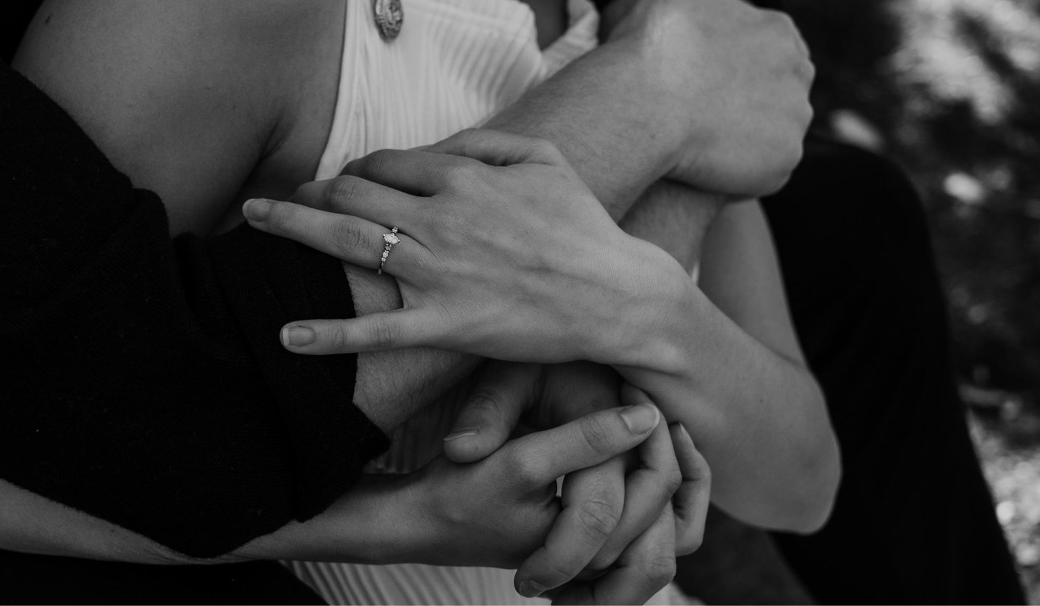 The Wedding Website of David K and Sarah D