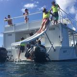 Barbados Turtle and Shipwreck Snorkel Adventure