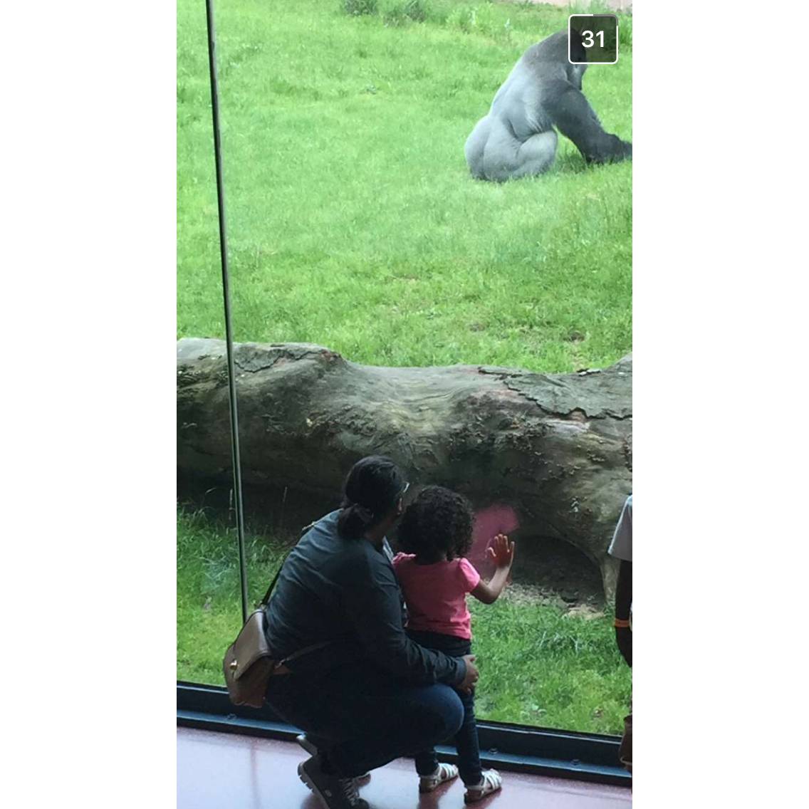 'Look at the monkey!... sorry, gorilla" Nellee and Zari at he Philadelphia zoo