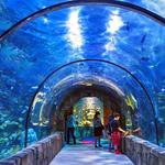 Audubon Aquarium of the Americas