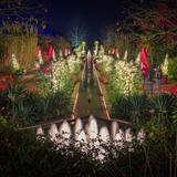 Daniel Stowe Conservancy