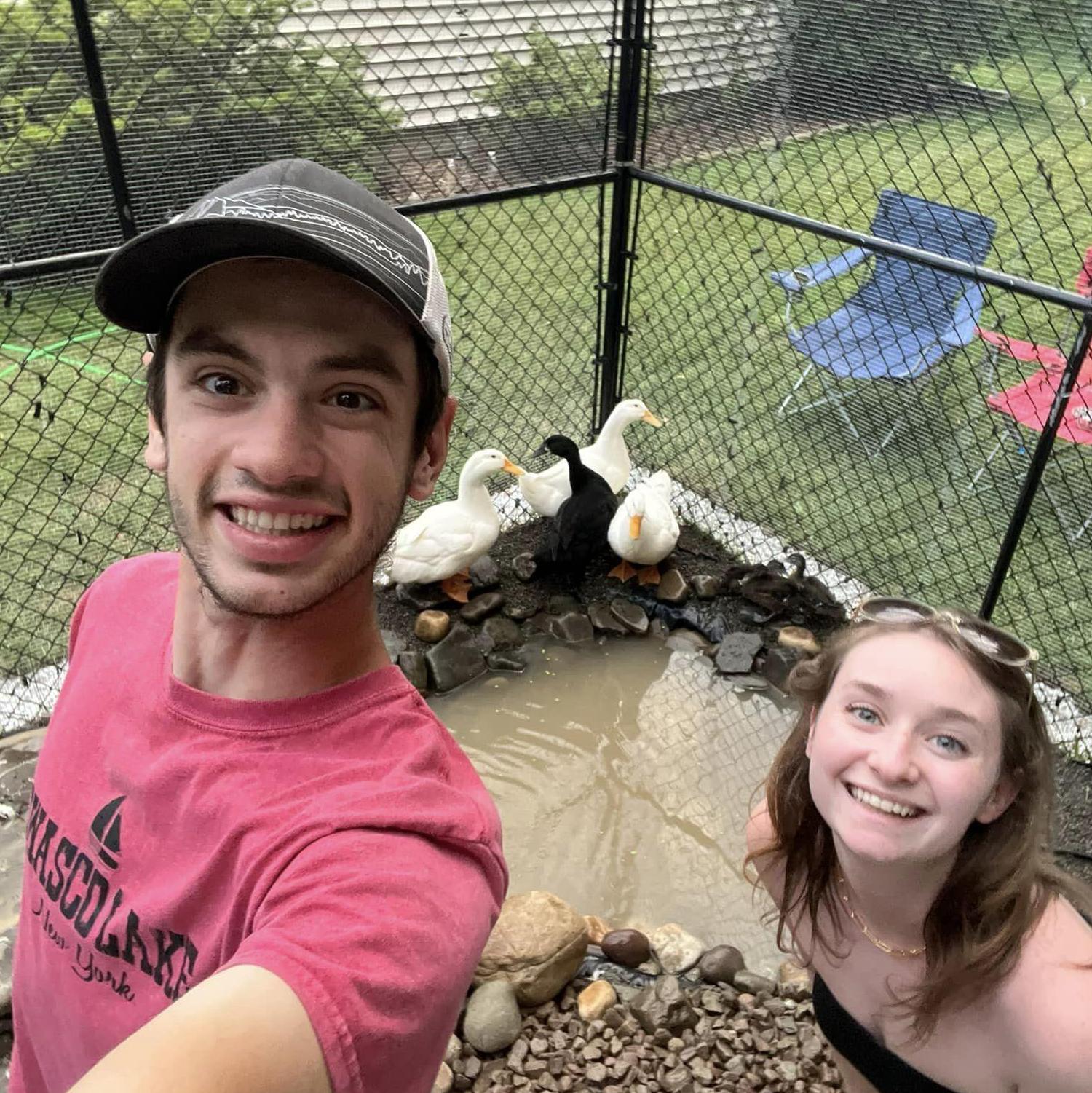 Our Feathered Kiddos
