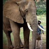 Elephant Sanctuary Hartbeespoort