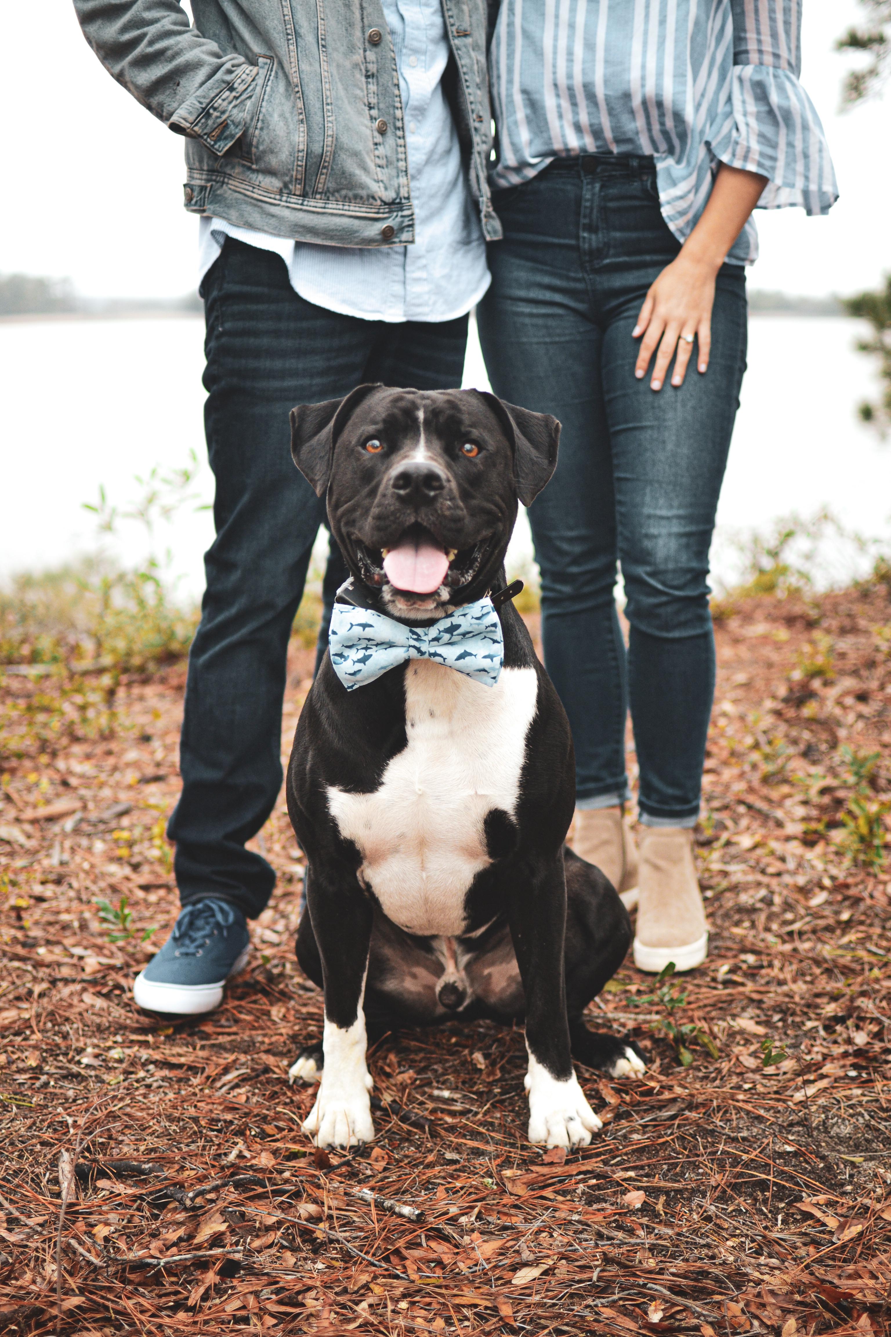 The Wedding Website of Casey Weaver and Charlie Suber