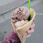 Louie's Ice Cream Shop