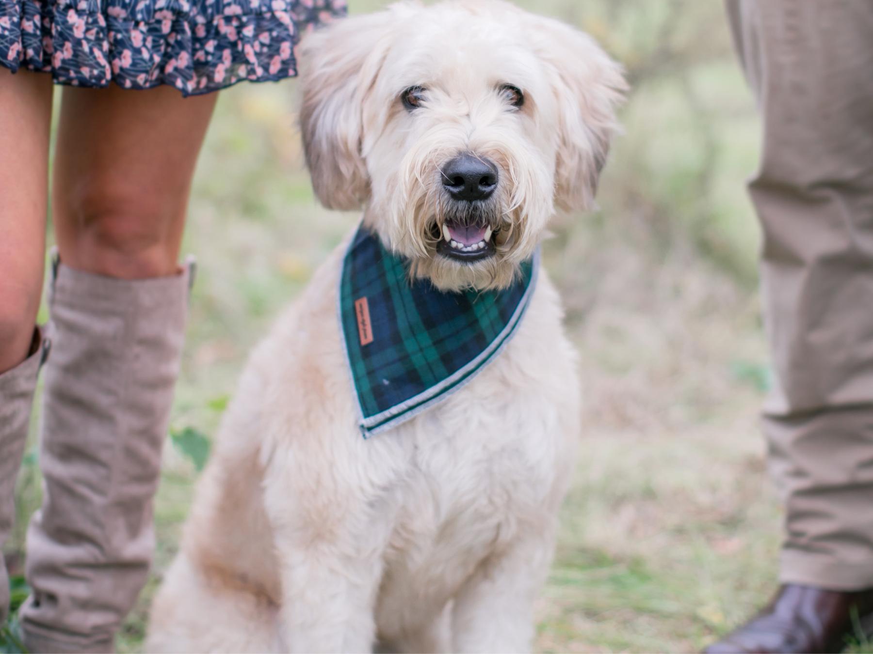 The Wedding Website of Katie Smith and Kyle Mattingly