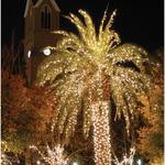 Holiday Attractions in Charleston