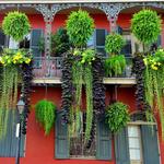 French Quarter