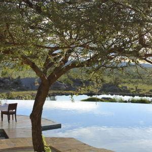 Dinner Overlooking the Animal Watering Hole