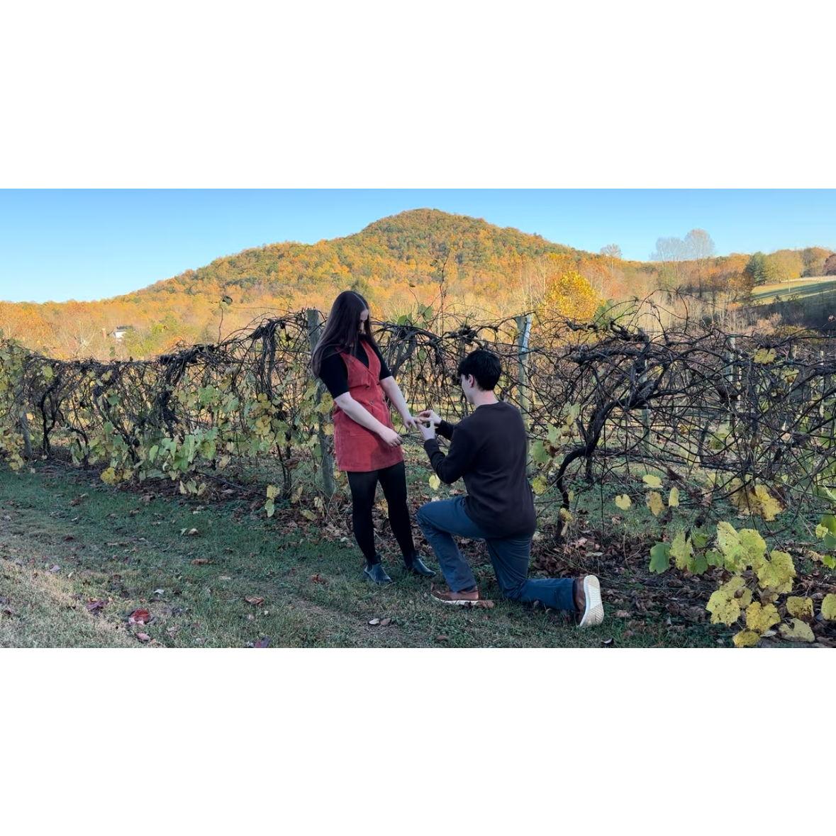 When Gavin proposed at Glasshouse Winery in Va (spoiler... Laura said yes)