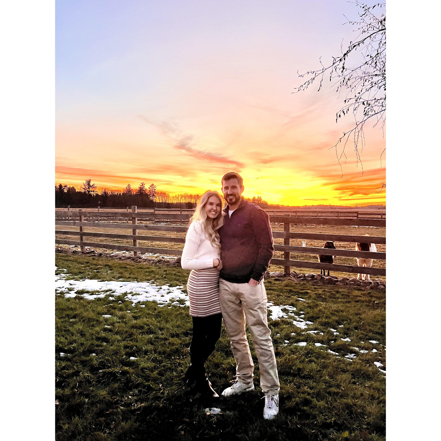 Bischel family farm, 2022