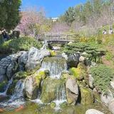 Japanese Friendship Garden & Museum