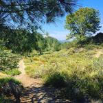Crest Canyon Park