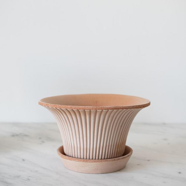 Daisy Plant Pot