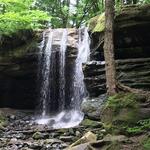 Dundee Falls Trailhead