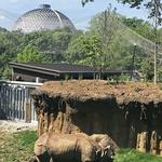 Omaha's Henry Doorly Zoo and Aquarium