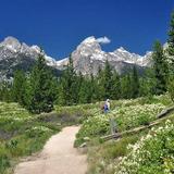 Jackson Hole Hikes