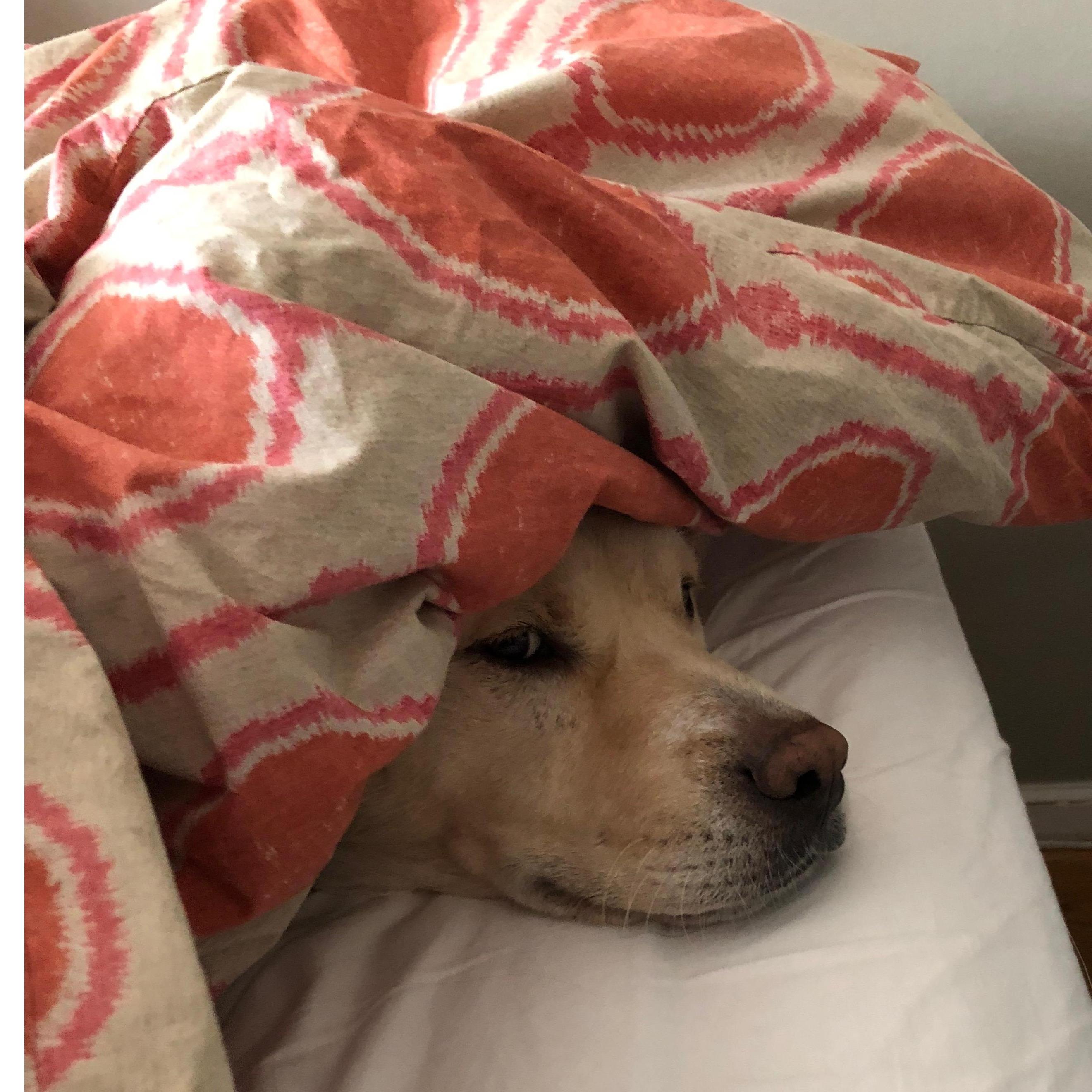 Sometimes we rest.