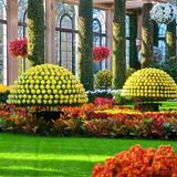 Longwood Gardens