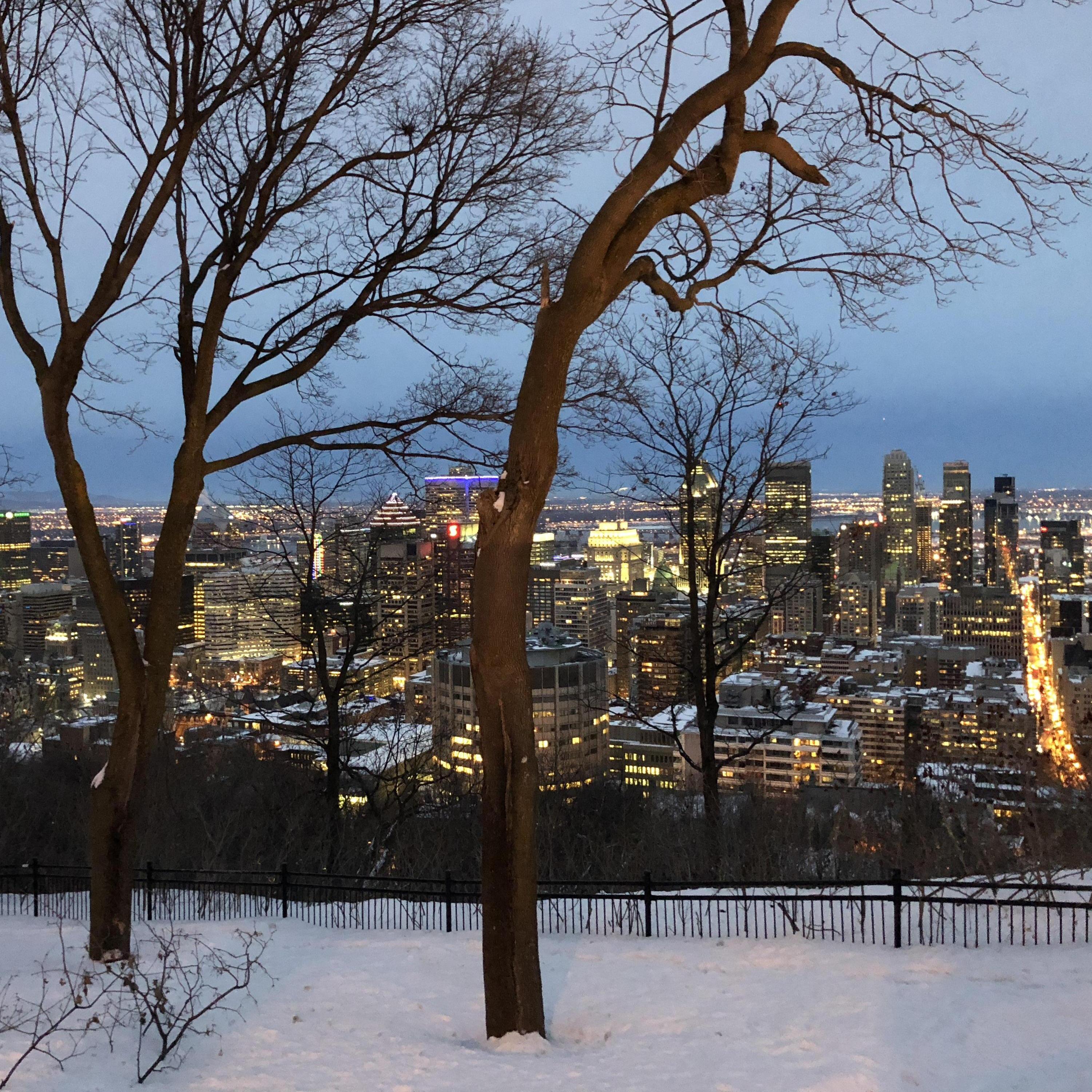 Mont Royal (Montreal, Canada) - the magical lieu where Todd proposed.