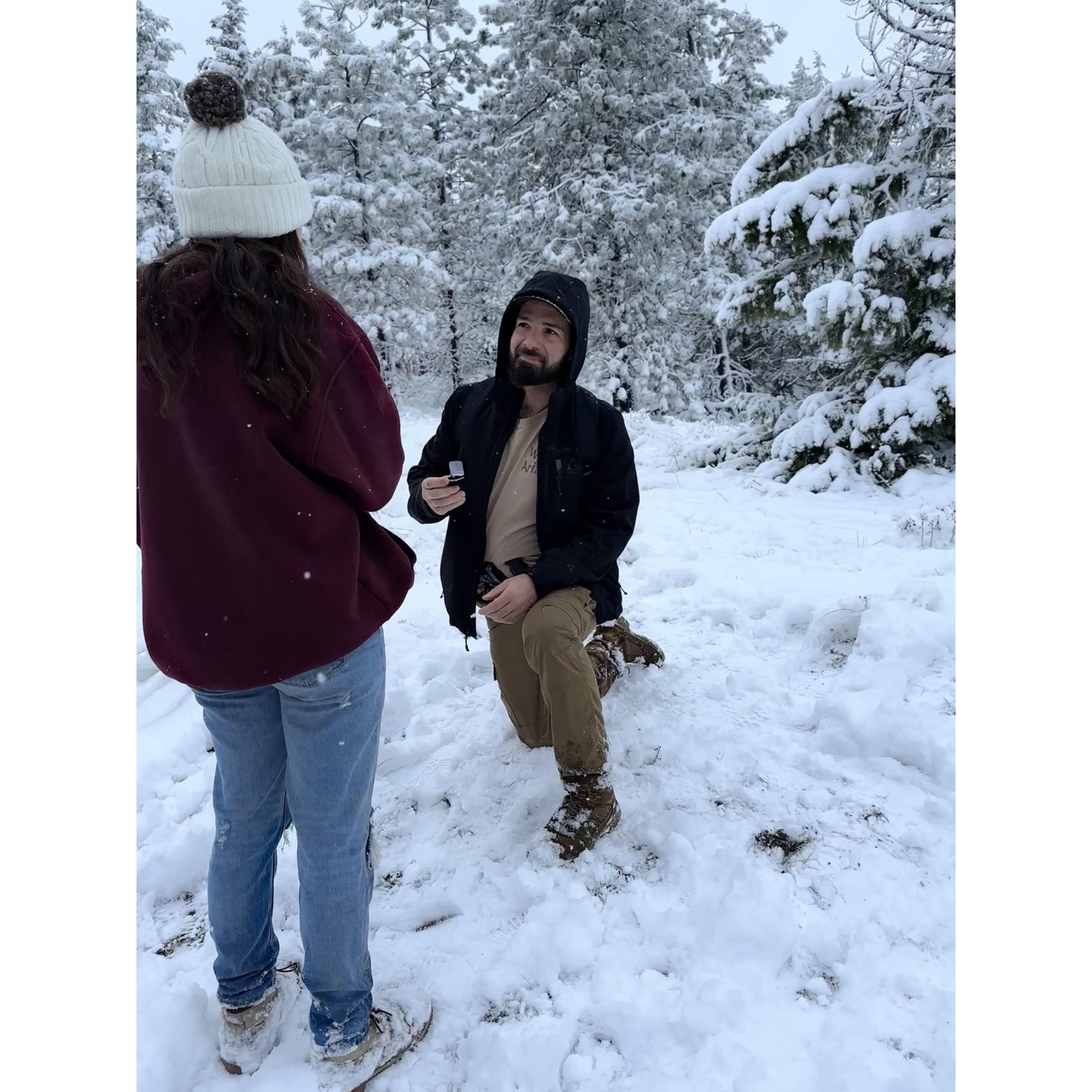 Noah completely surprised Alex with this proposal!