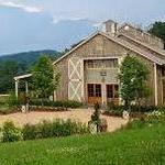 Pippin Hill Vineyard