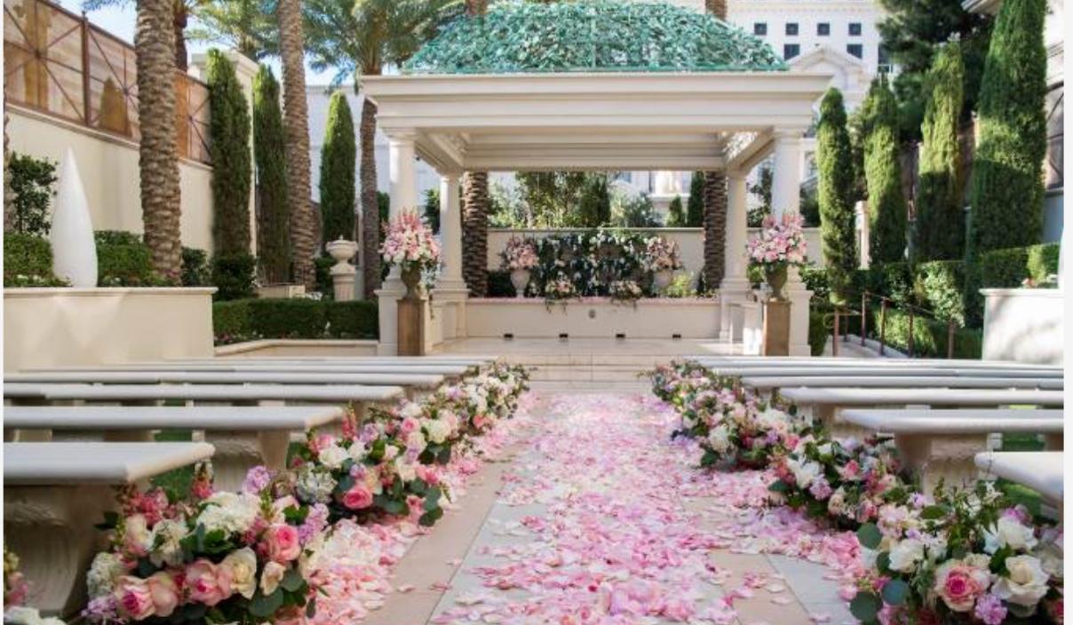 The Wedding Website of Tanaya Pettus and Brian Williams