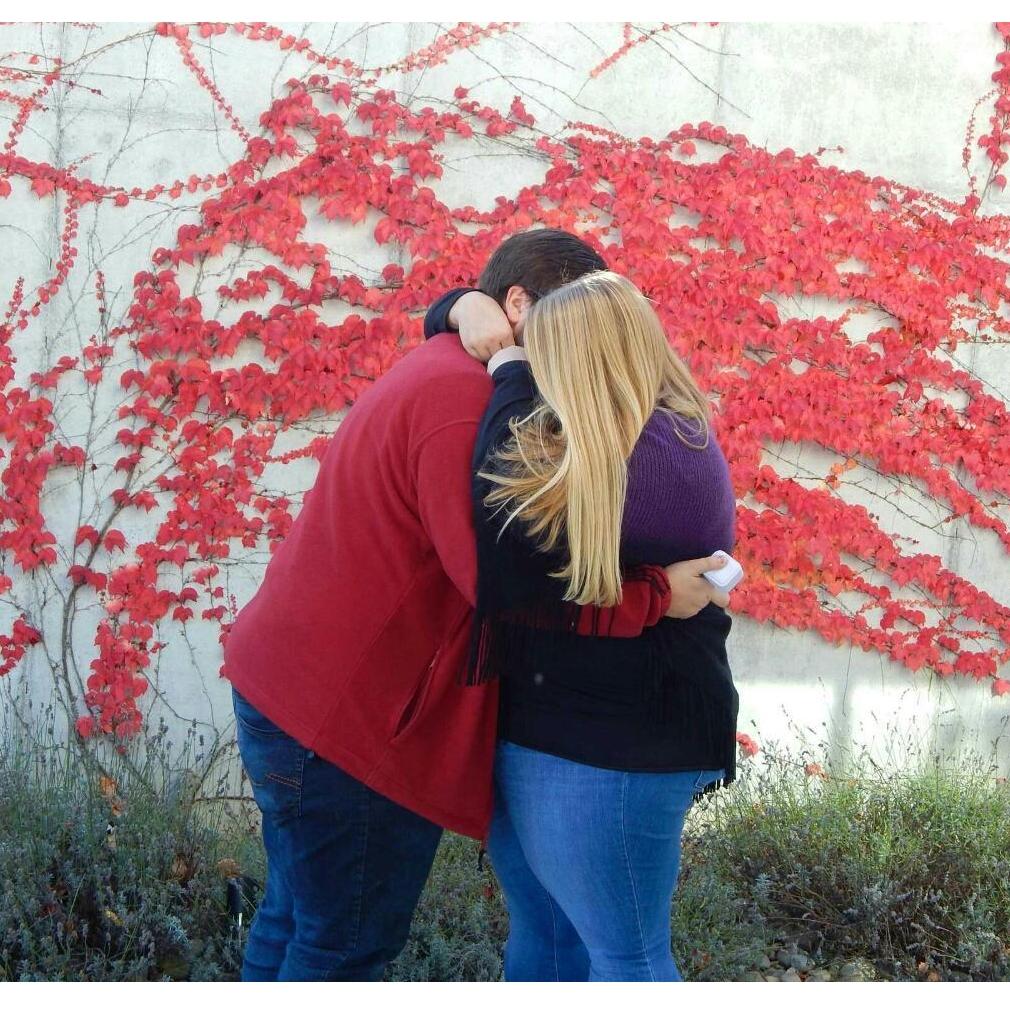 Proposal @ Brengman Brother's Winery! 11.6.2016
