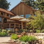 Ridge Vineyards