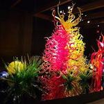 Chihuly Collection