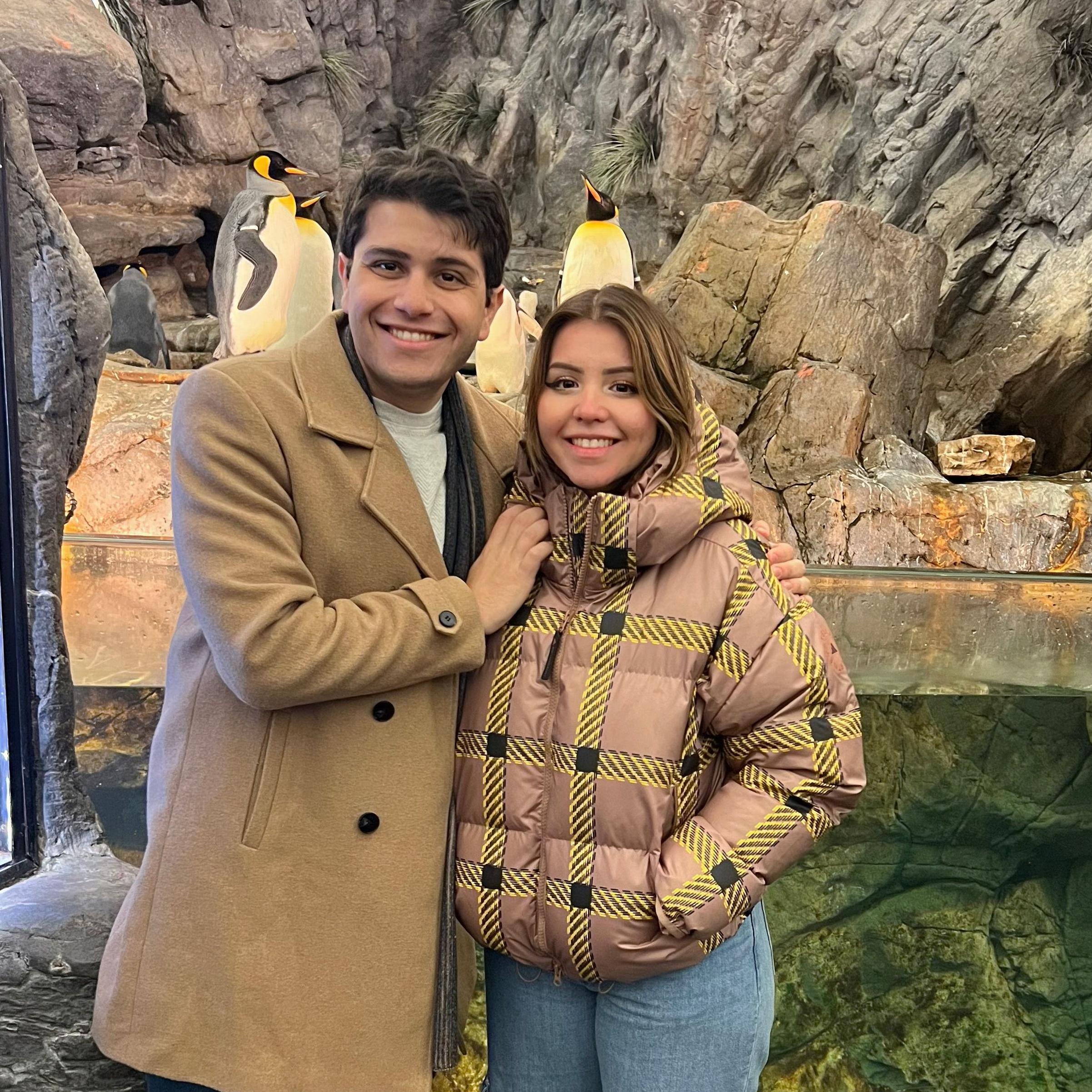 Visiting STL Zoo, one of our most frequeantes places together