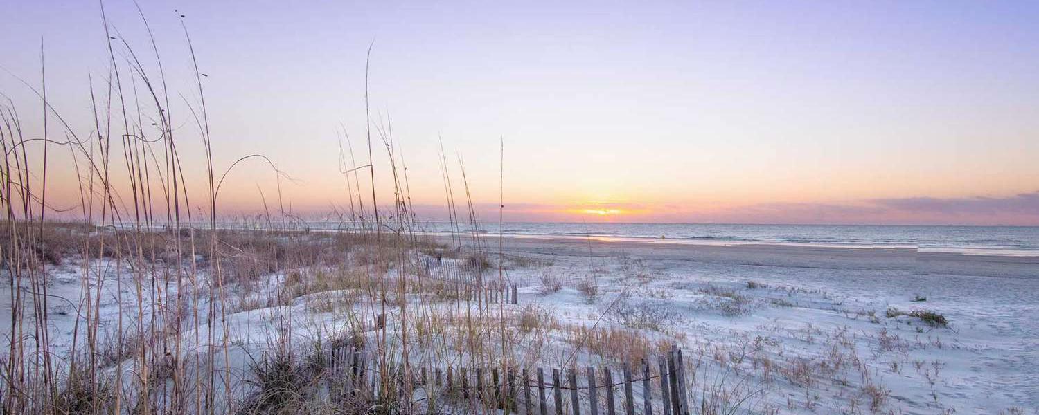 The Wedding Website of Carrie Amato and Tristan Eysele