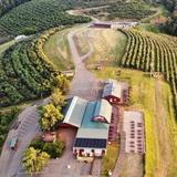 Carter Mountain Orchard