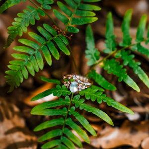 Newlywed Fund