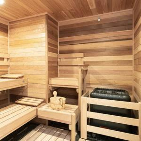 Sauna built by Dan