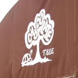 Chocolate Tree