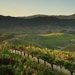 Napa