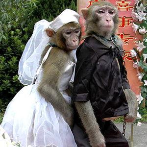 Newlywed Fund