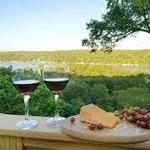 Wine Tours