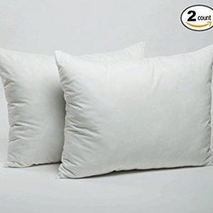 Foamily 2 Pack Bed Pillows for Sleeping - Cotton & Super Plush Down Alternative - Dust Mite Resistant & Hypoallergenic Insert (Queen/Standard)