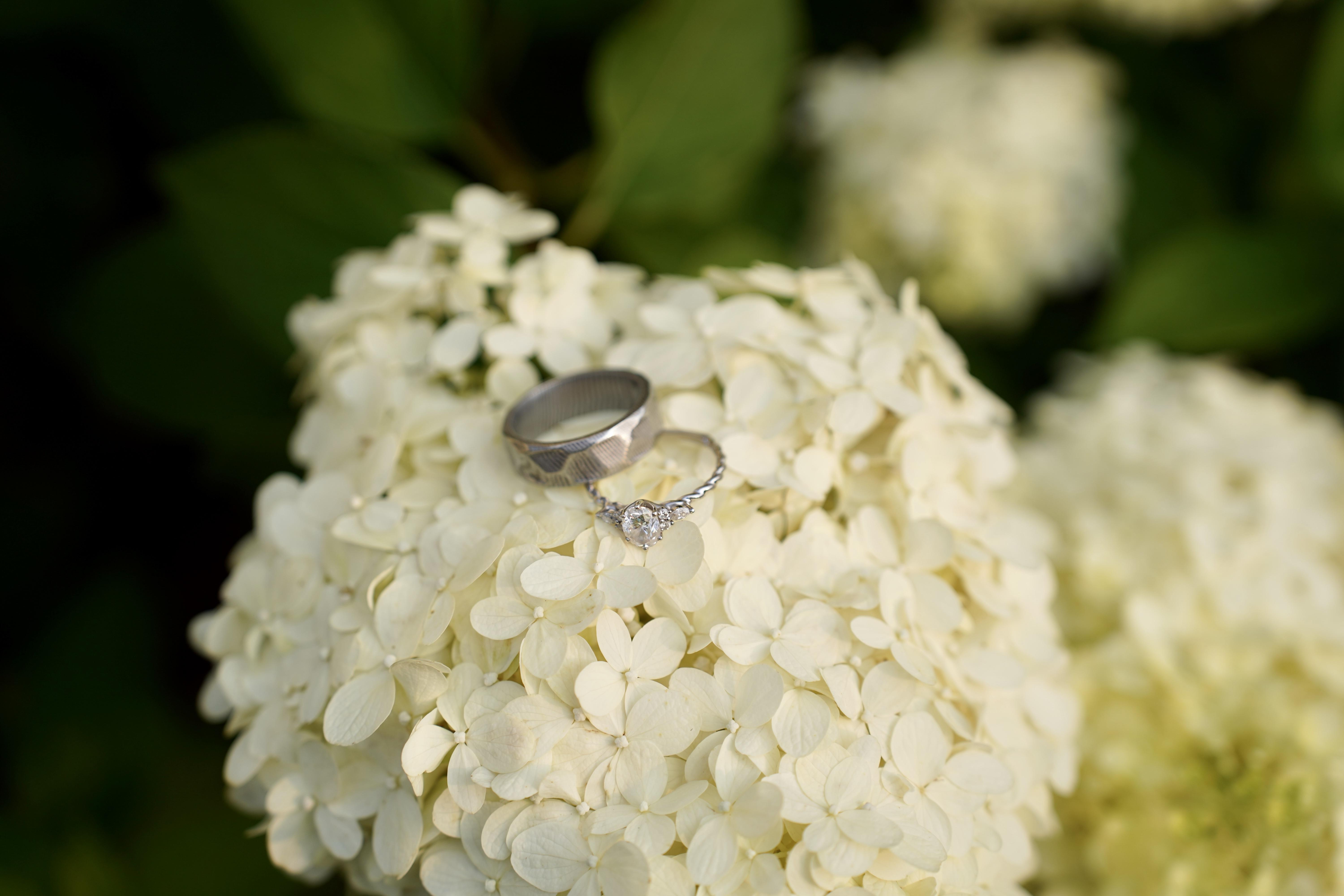 The Wedding Website of Nicole Keefe and Drake Plunkett