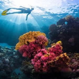 Scubadiving in Sicily