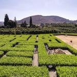 Underwood Family Farms