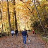 Wissahickon Valley Park