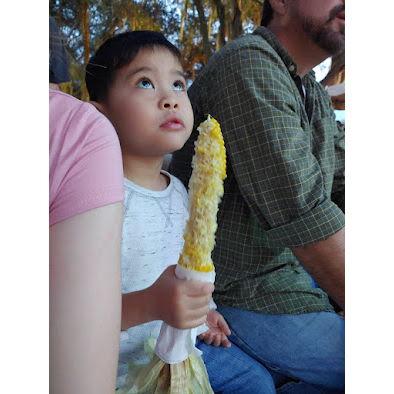 Hillsborough County Fair