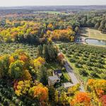 Honey Pot Hill Orchards